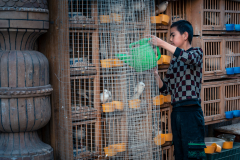 Fotó: @gabriel.nemeth.photography