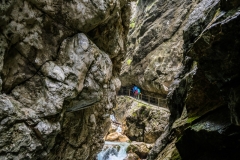 Fotó: @gabriel.nemeth.photography