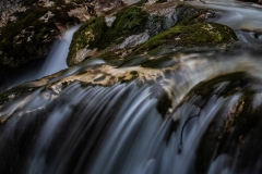 Fotó: @gabriel.nemeth.photography