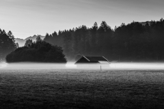 Fotó: @gabriel.nemeth.photography