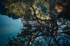 Fotó: @gabriel.nemeth.photography