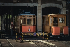 Fotó: @gabriel.nemeth.photography
