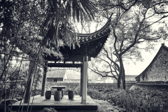 Fotó: @gabriel.nemeth.photography