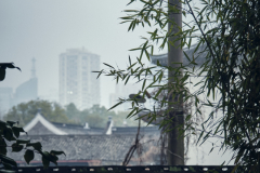 Fotó: @gabriel.nemeth.photography