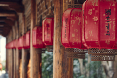 Fotó: @gabriel.nemeth.photography