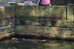 Fotó: @gabriel.nemeth.photography