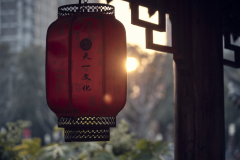 Fotó: @gabriel.nemeth.photography