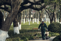 Fotó: @gabriel.nemeth.photography