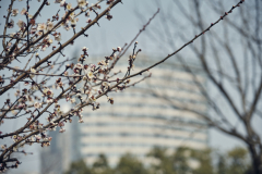 Fotó: @gabriel.nemeth.photography