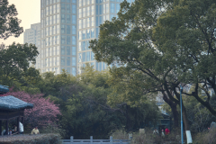 Fotó: @gabriel.nemeth.photography