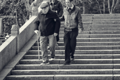 Fotó: @gabriel.nemeth.photography