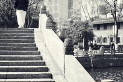 Fotó: @gabriel.nemeth.photography