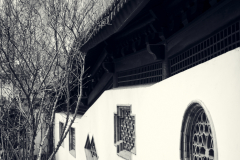 Fotó: @gabriel.nemeth.photography