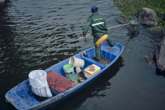 Fotó: @gabriel.nemeth.photography