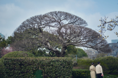 Fotó: @gabriel.nemeth.photography