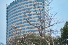 Fotó: @gabriel.nemeth.photography