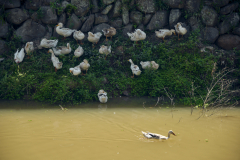 Fotó: @gabriel.nemeth.photography