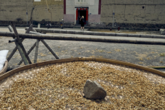 Fotó: @gabriel.nemeth.photography