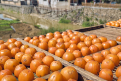 Fotó: @gabriel.nemeth.photography