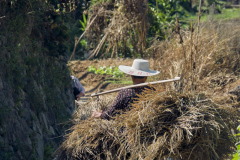 Fotó: @gabriel.nemeth.photography