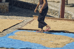 Fotó: @gabriel.nemeth.photography