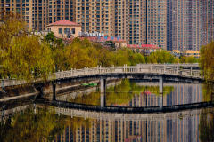 Fotó: @gabriel.nemeth.photography