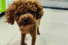 Fotó: @gabriel.nemeth.photography