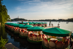 Fotó: @gabriel.nemeth.photography