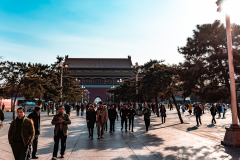 Fotó: @gabriel.nemeth.photography