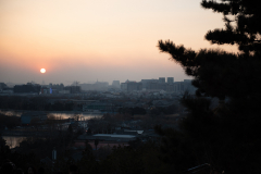 Fotó: @gabriel.nemeth.photography