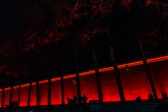 Fotó: @gabriel.nemeth.photography