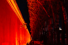 Fotó: @gabriel.nemeth.photography