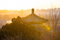 Fotó: @gabriel.nemeth.photography