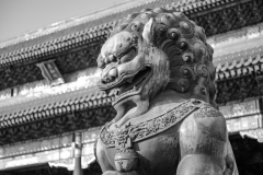 Fotó: @gabriel.nemeth.photography