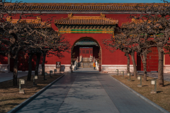 Fotó: @gabriel.nemeth.photography