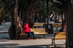 Fotó: @gabriel.nemeth.photography