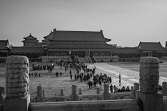 Fotó: @gabriel.nemeth.photography