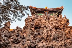 Fotó: @gabriel.nemeth.photography