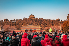 Fotó: @gabriel.nemeth.photography