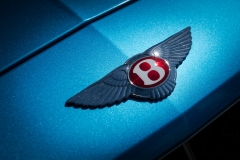 Fotó: @gabriel.nemeth.photography