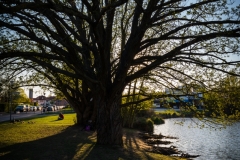 Fotó: @gabriel.nemeth.photography