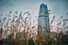 Fotó: @gabriel.nemeth.photography