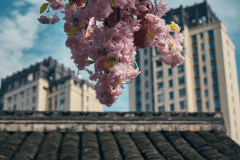 Fotó: @gabriel.nemeth.photography