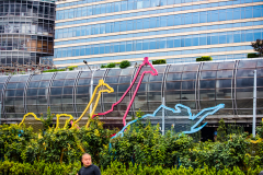 Fotó: @gabriel.nemeth.photography