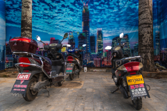 Fotó: @gabriel.nemeth.photography