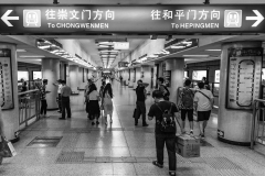 Fotó: @gabriel.nemeth.photography