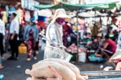 Fotó: @gabriel.nemeth.photography