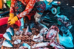 Fotó: @gabriel.nemeth.photography