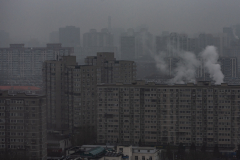 Fotó: @gabriel.nemeth.photography