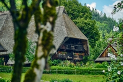 Fotó: @gabriel.nemeth.photography